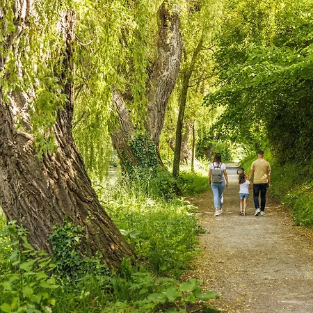 Ibis Styles מלון 3*