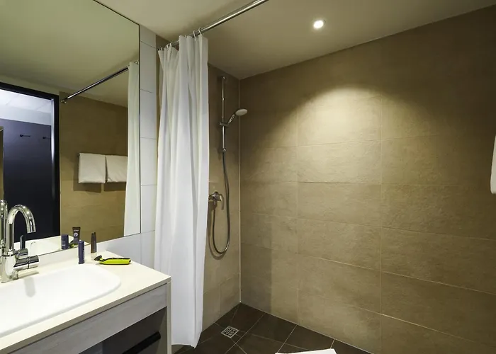 Ibis Styles מלון סינגן